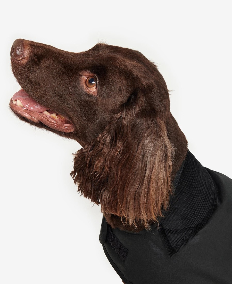 casaco de cera para cães