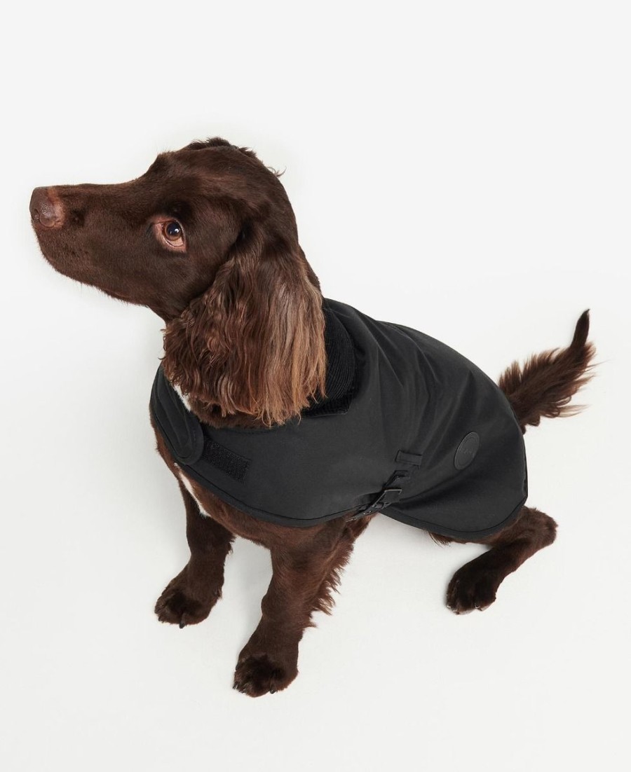 casaco de cera para cães