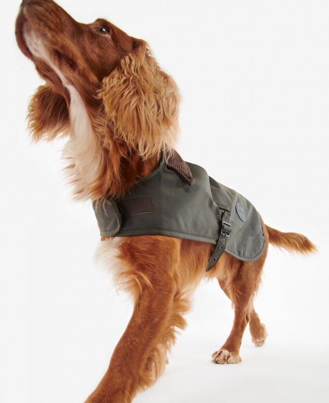 casaco de cera para cães