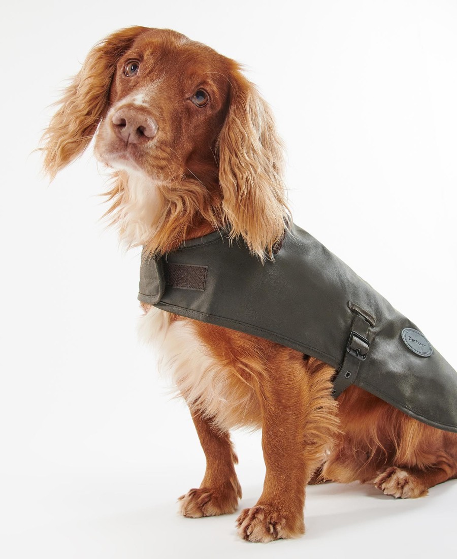 casaco de cera para cães