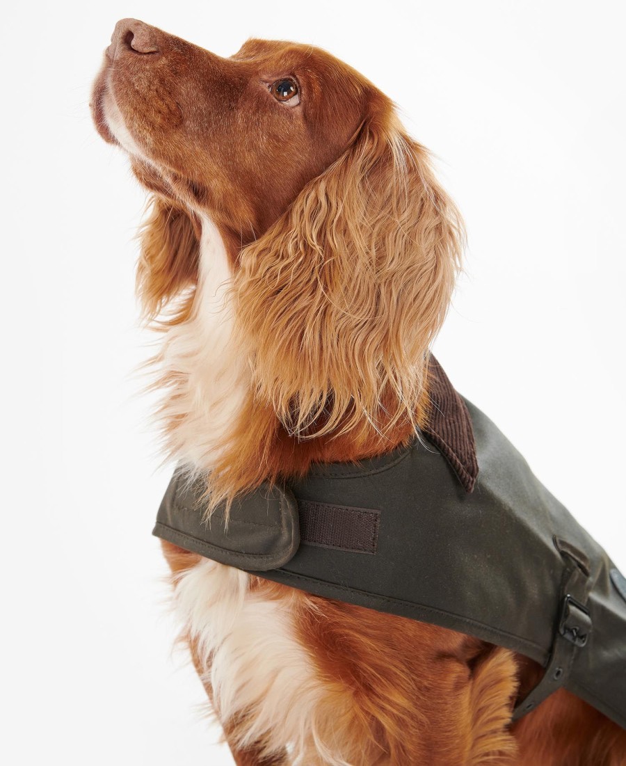 casaco de cera para cães