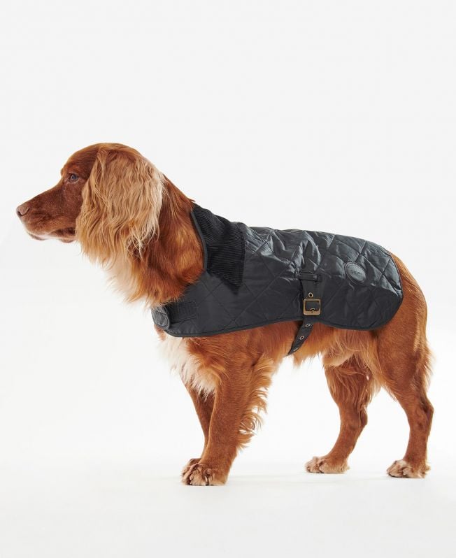 casaco acolchoado para cães