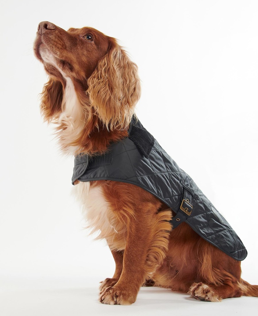 casaco acolchoado para cães