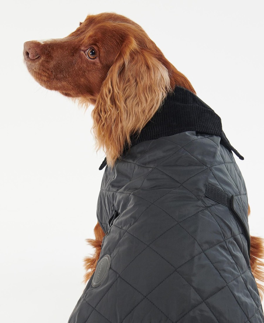 casaco acolchoado para cães