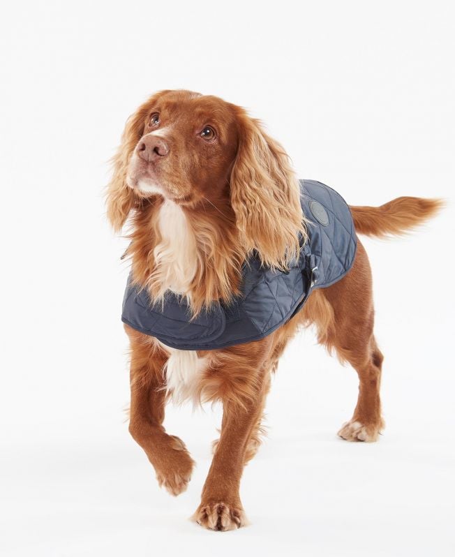 casaco acolchoado para cães