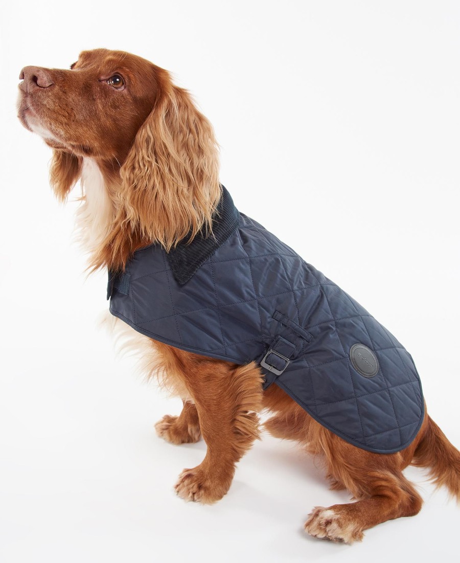 casaco acolchoado para cães