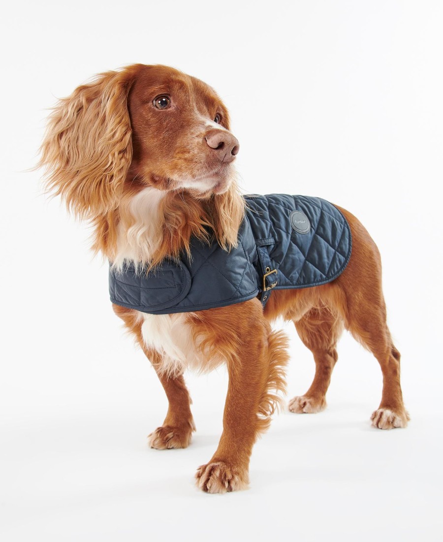 casaco acolchoado para cães
