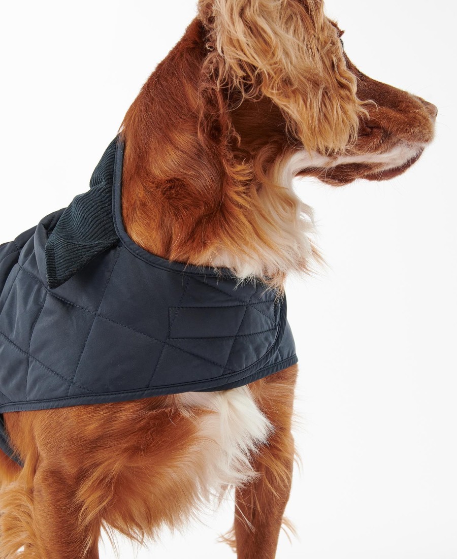 casaco acolchoado para cães