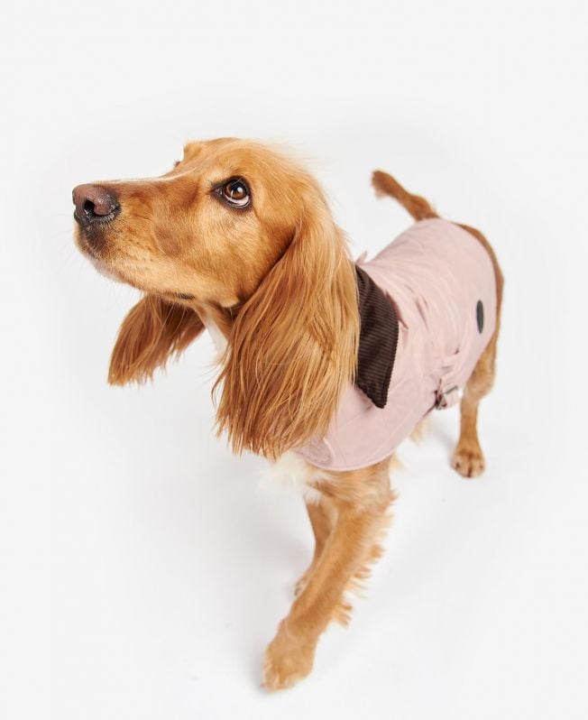 casaco acolchoado para cães