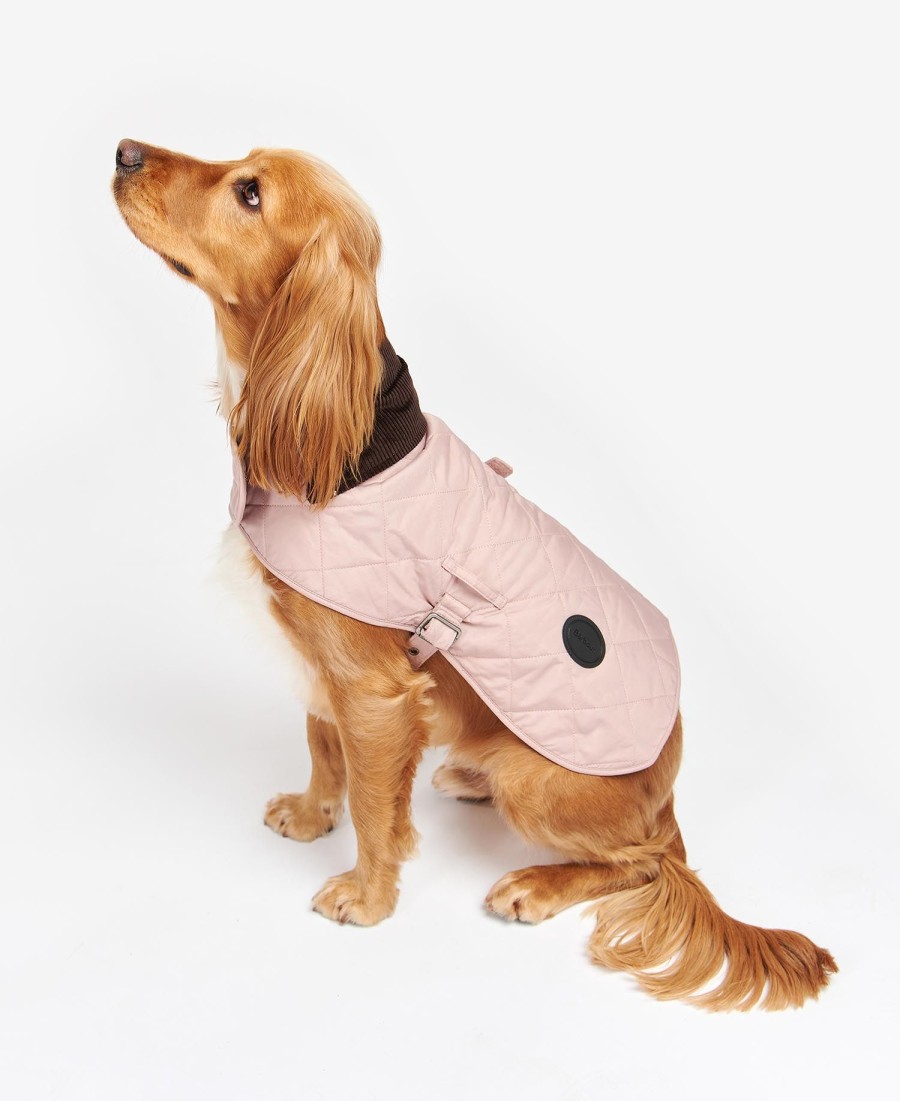 casaco acolchoado para cães