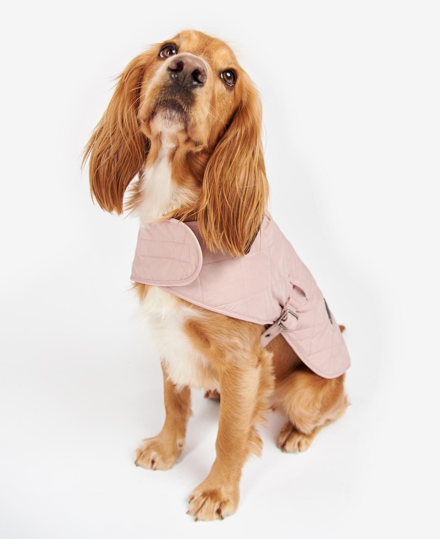 casaco acolchoado para cães
