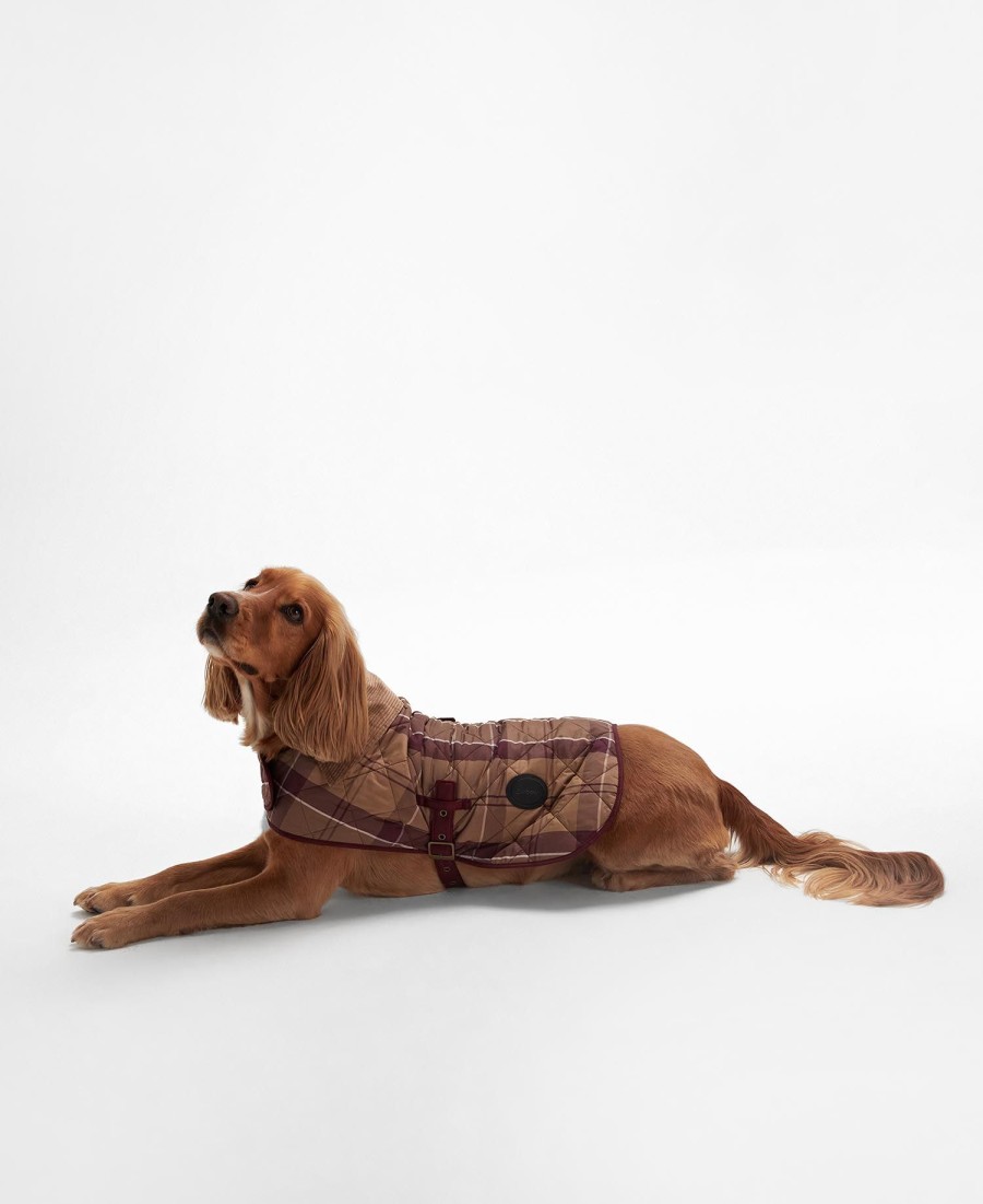 casaco acolchoado xadrez para cães