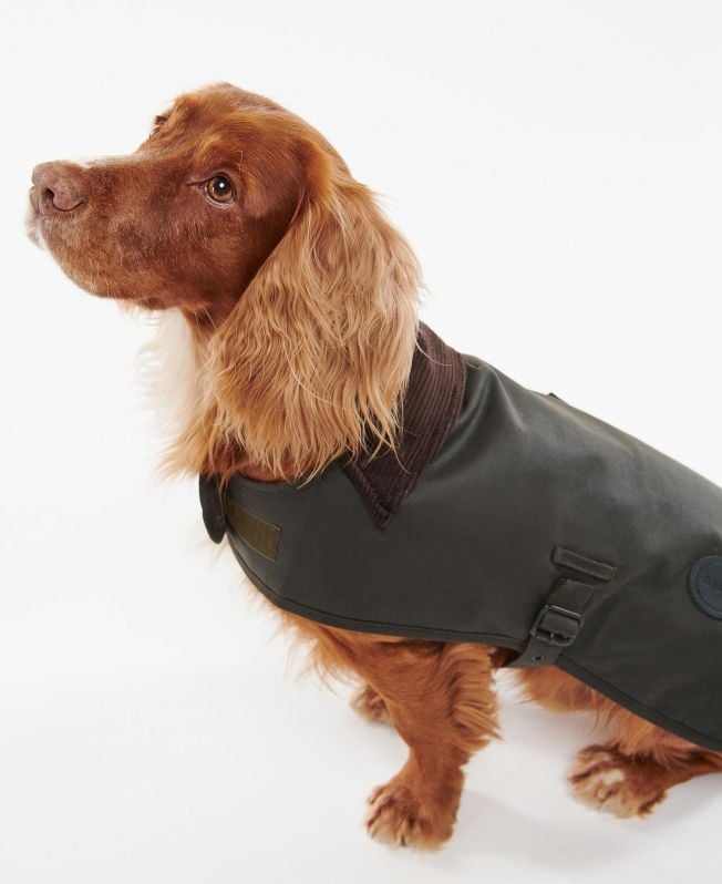 casaco de cera para cães