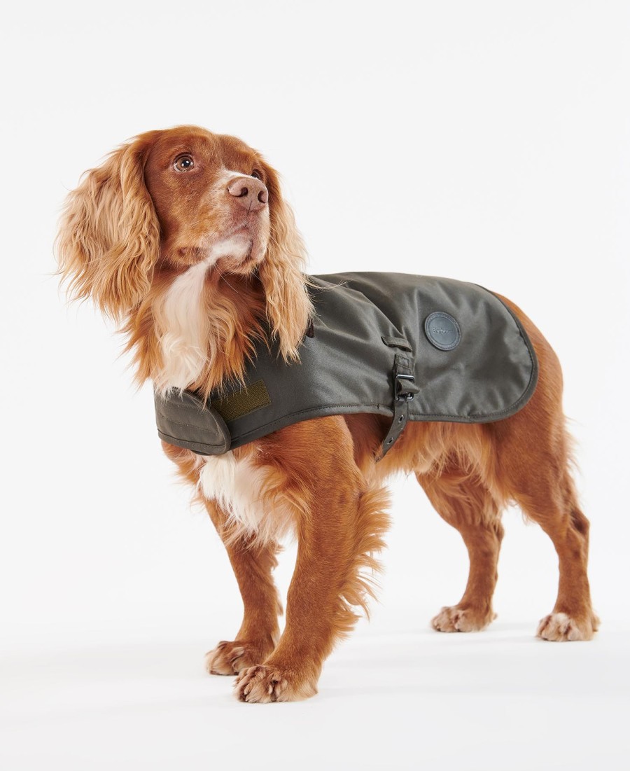 casaco de cera para cães