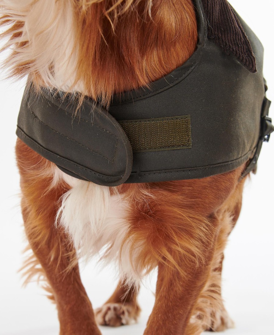 casaco de cera para cães
