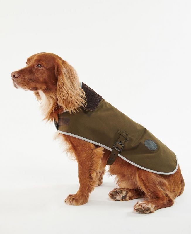 casaco impermeável para cães