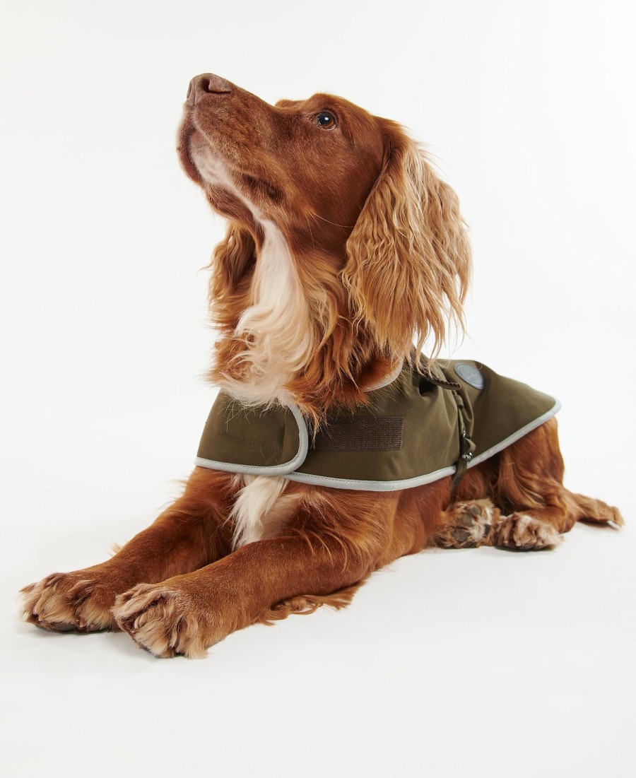 casaco impermeável para cães