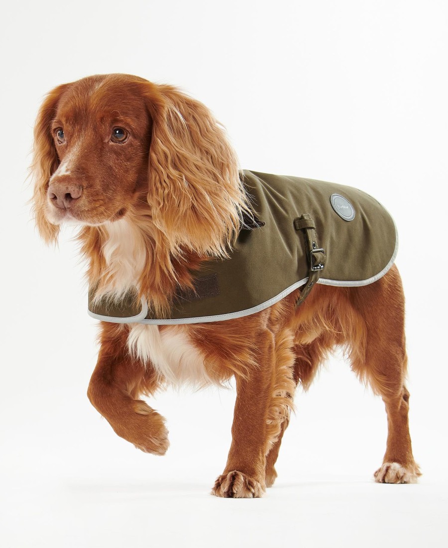 casaco impermeável para cães