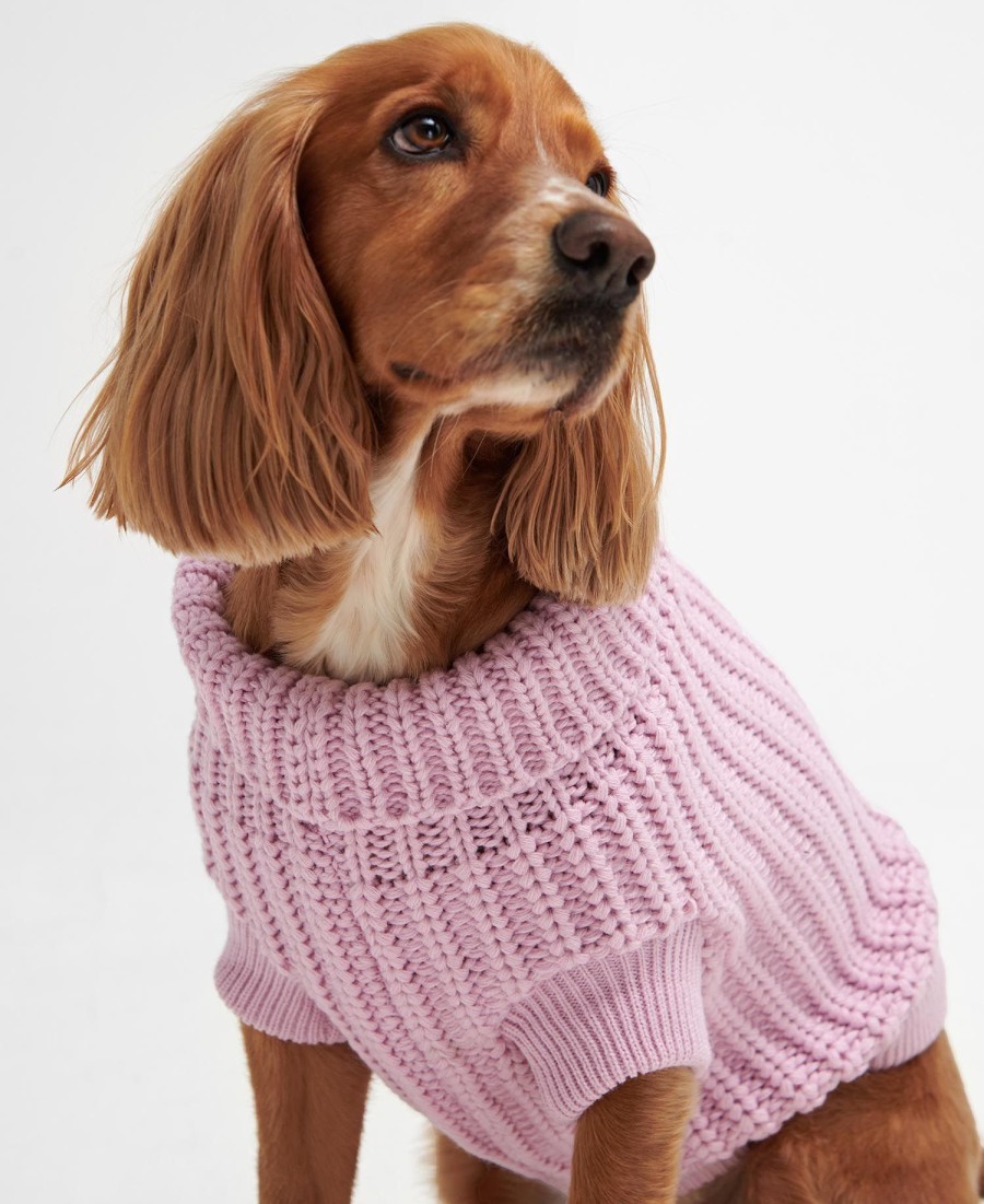 saltburn dog jumper