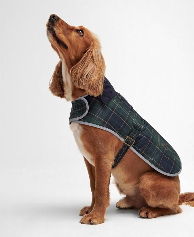 casaco para cães wetherham tartan