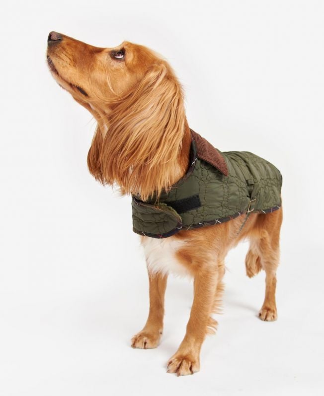 casaco acolchoado para cães com ossinhos.