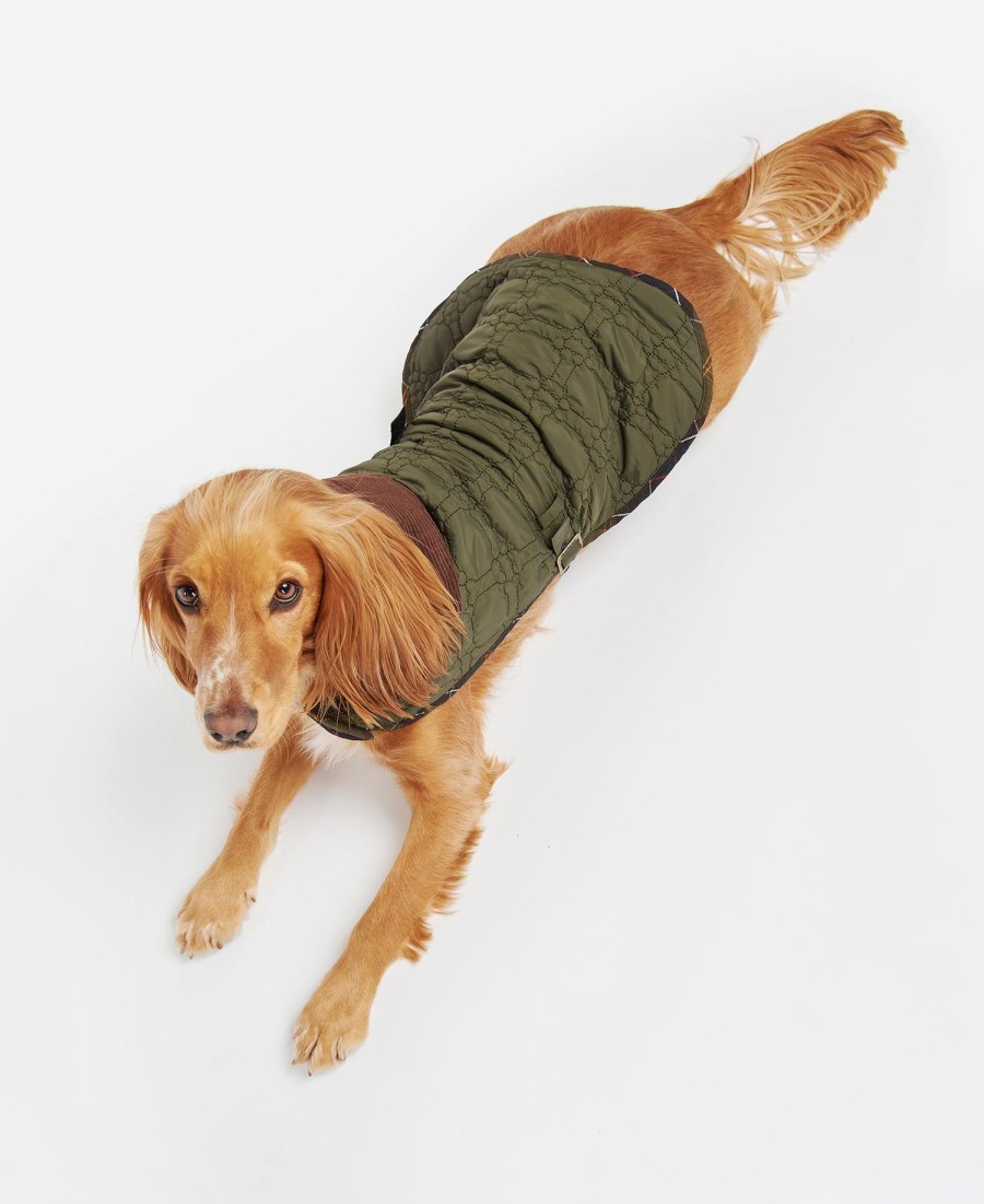 casaco acolchoado para cães com ossinhos.