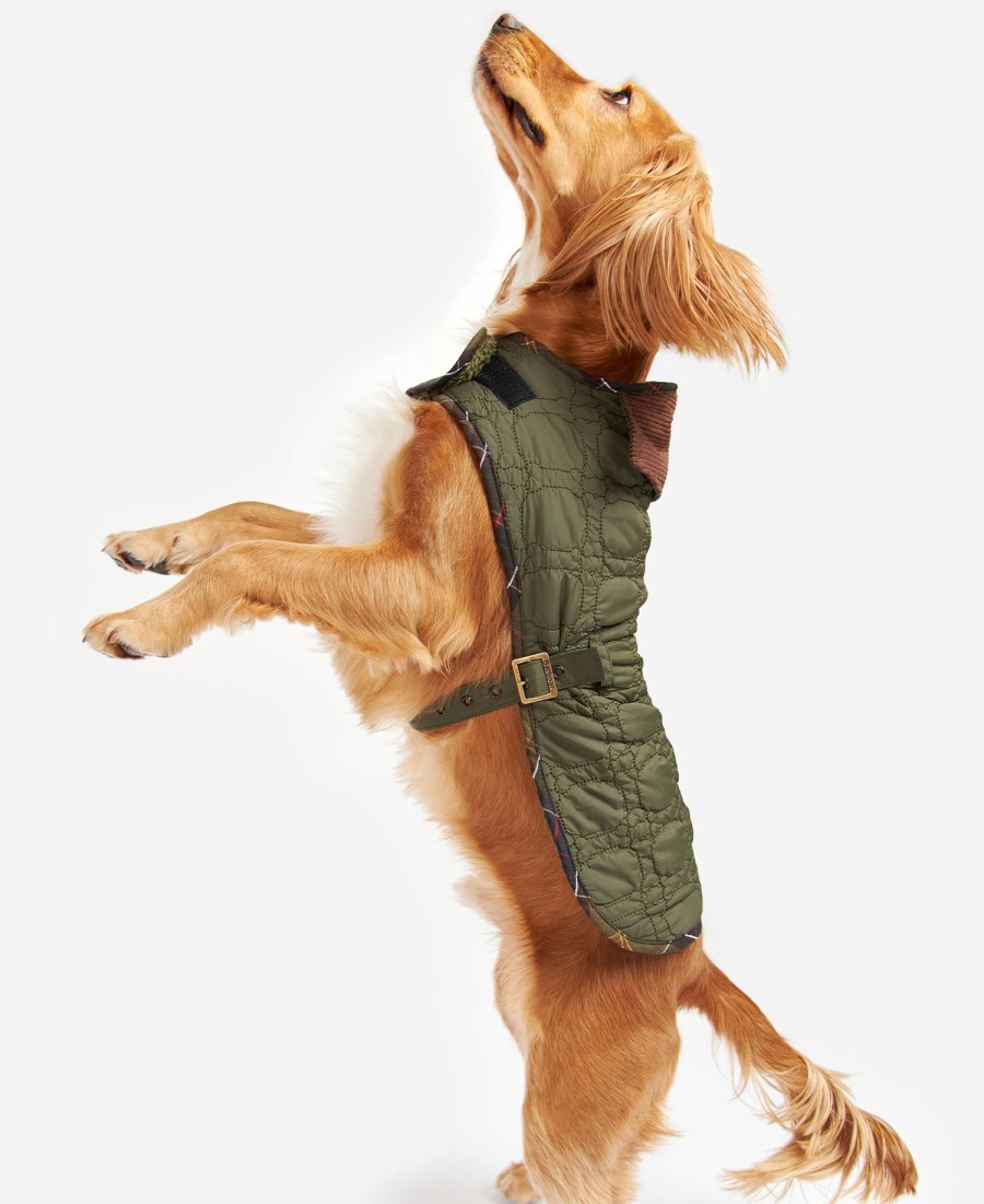 casaco acolchoado para cães com ossinhos.