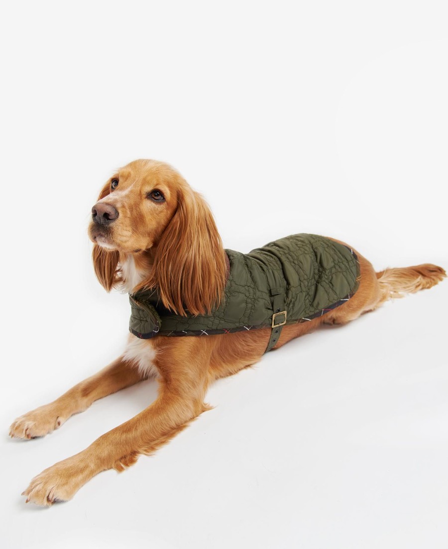 casaco acolchoado para cães com ossinhos.