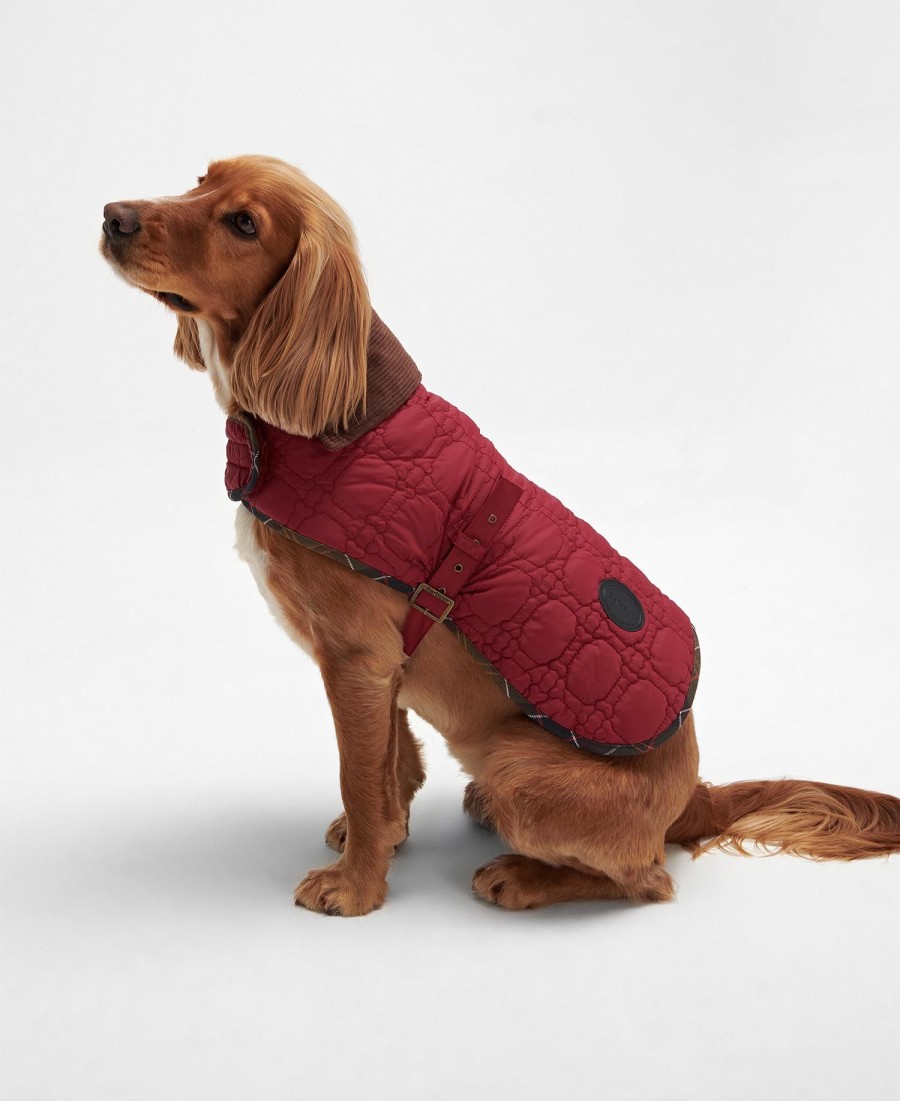 casaco acolchoado para cães com ossinhos.