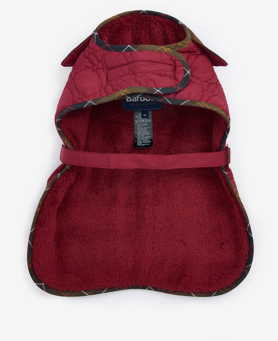 casaco acolchoado para cães com ossinhos.