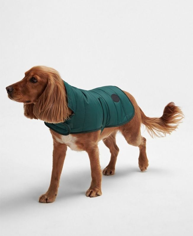 casaco acolchoado para cães