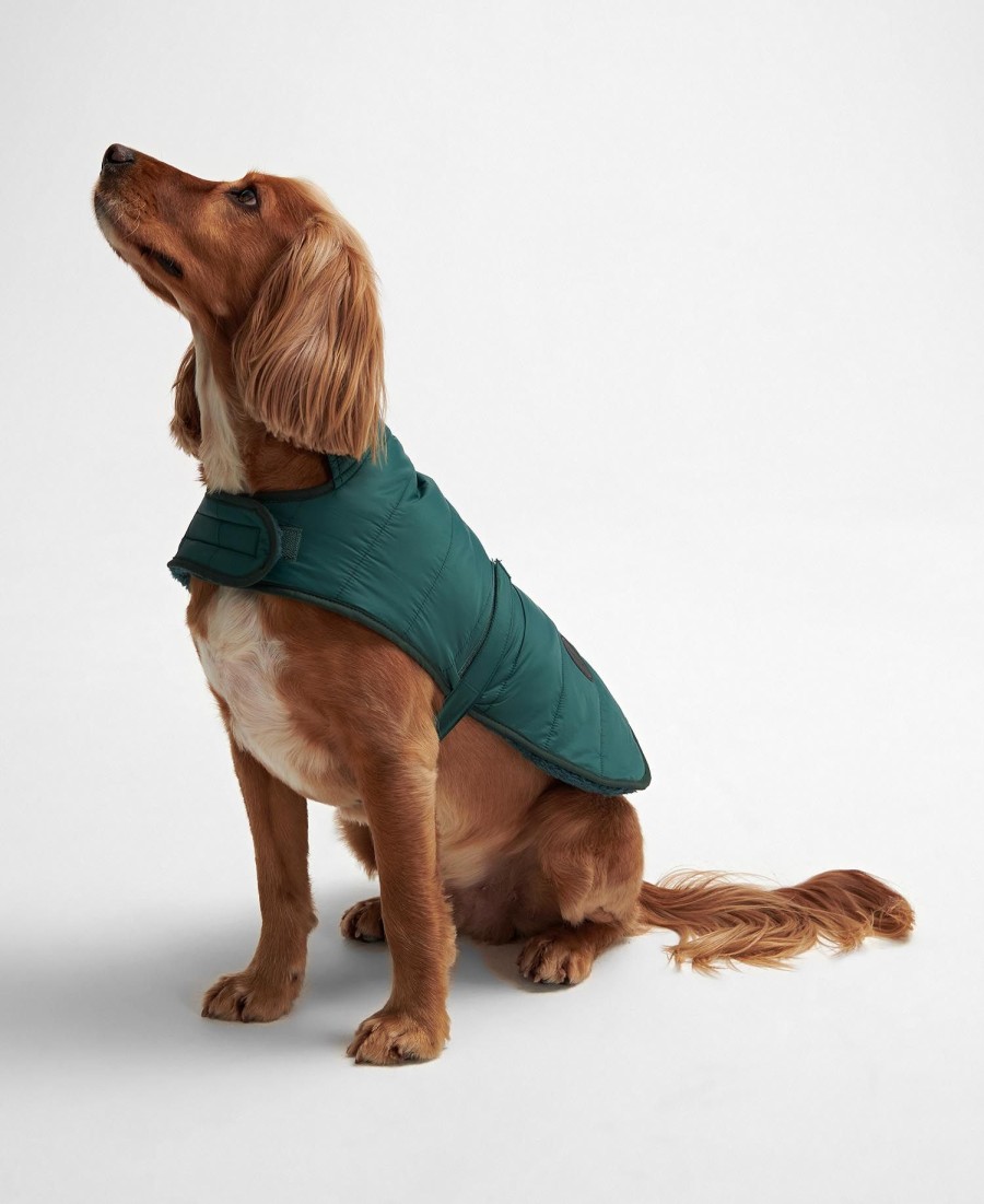 casaco acolchoado para cães