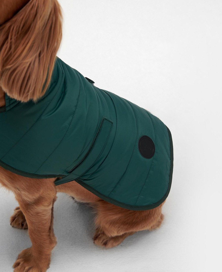 casaco acolchoado para cães
