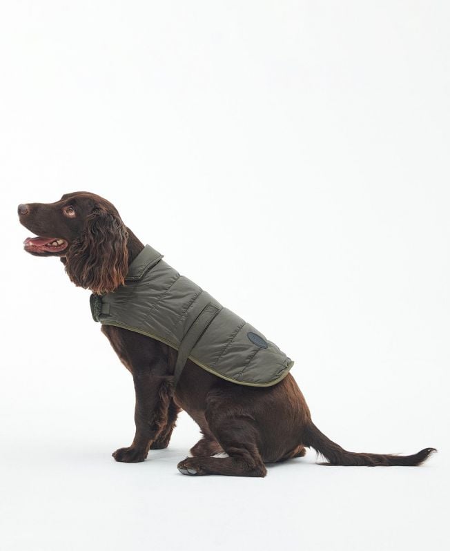 casaco acolchoado para cães