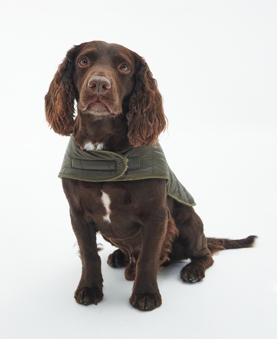 casaco acolchoado para cães