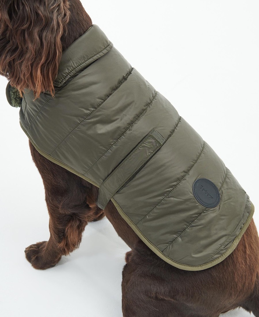 casaco acolchoado para cães