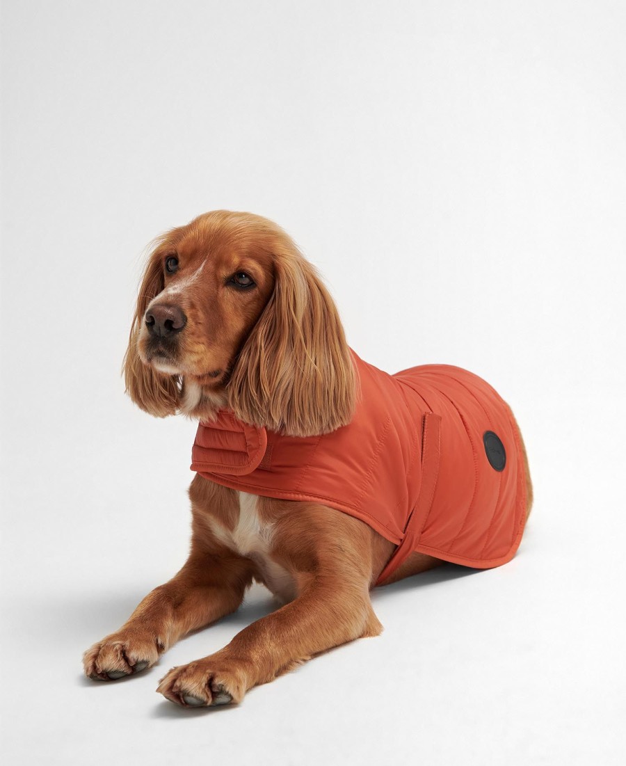 casaco acolchoado para cães