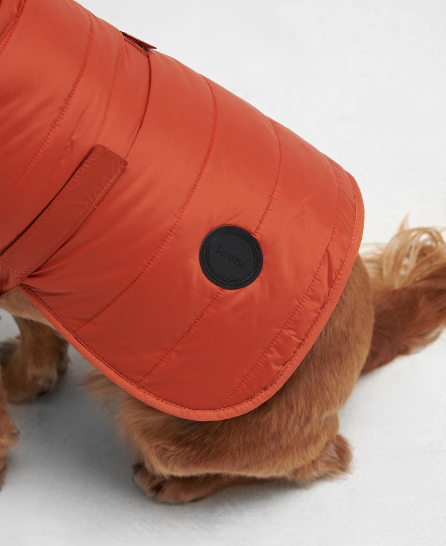 casaco acolchoado para cães
