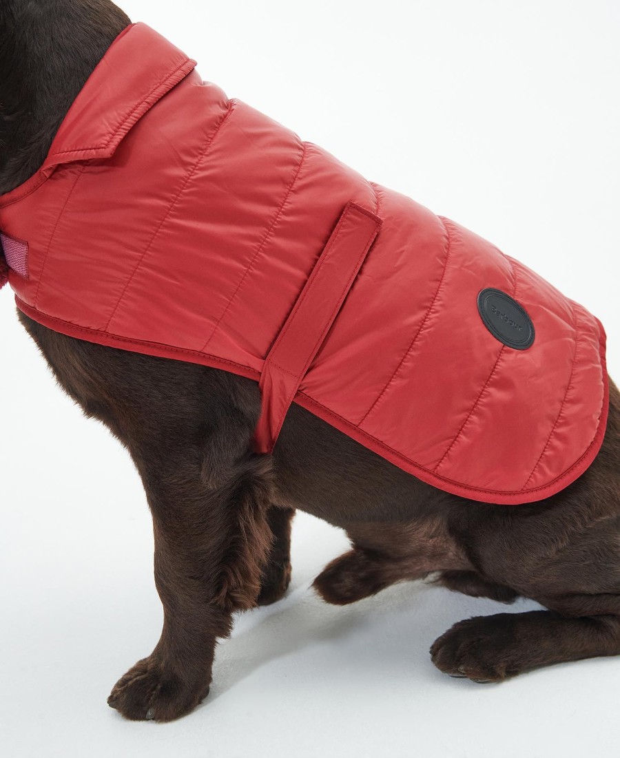 casaco acolchoado para cães