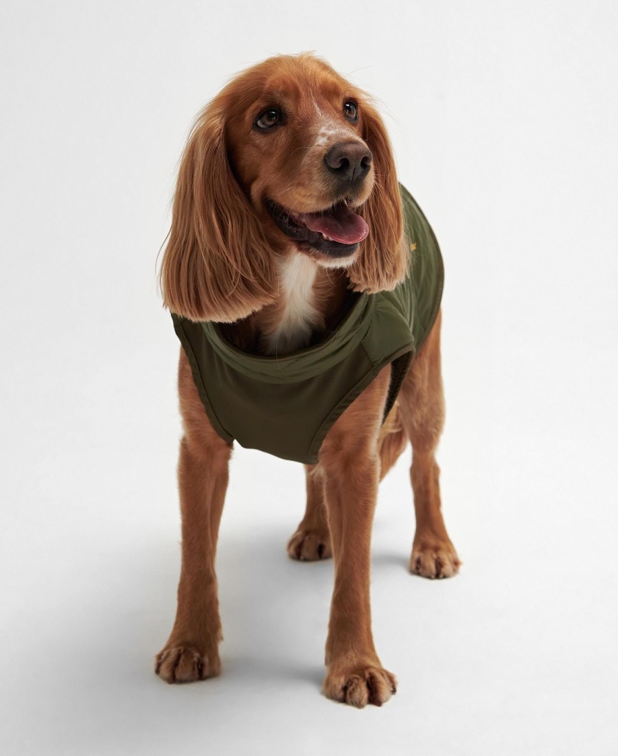casaco acolchoado reversível para cães