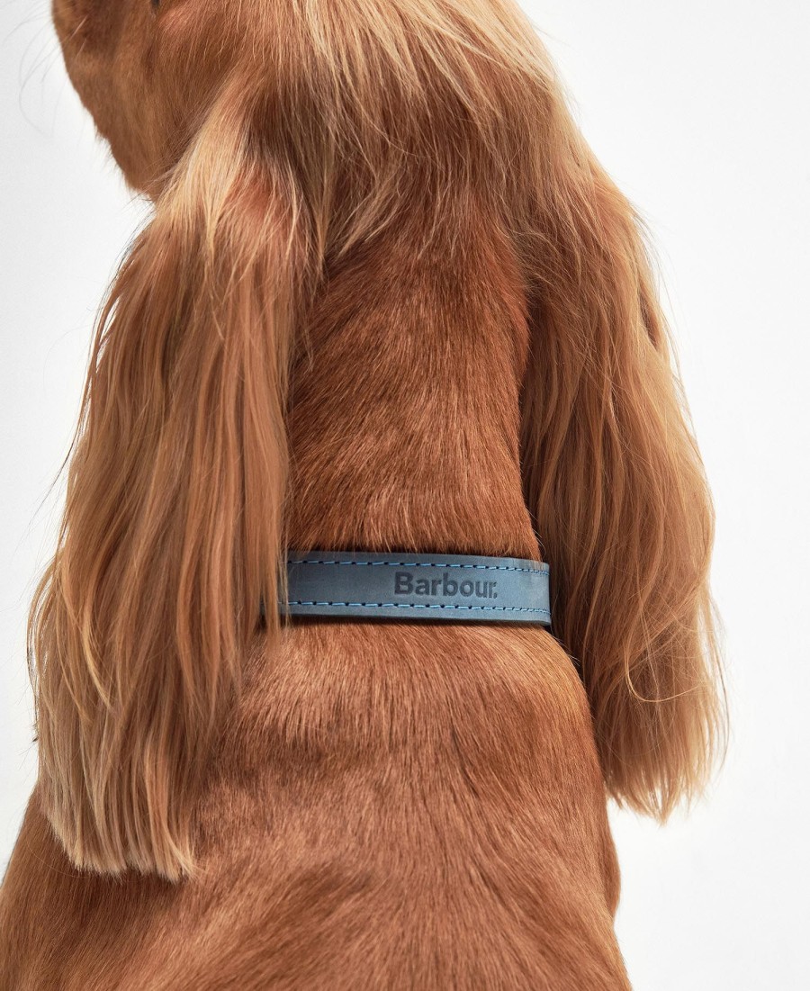 coleira de couro para cães
