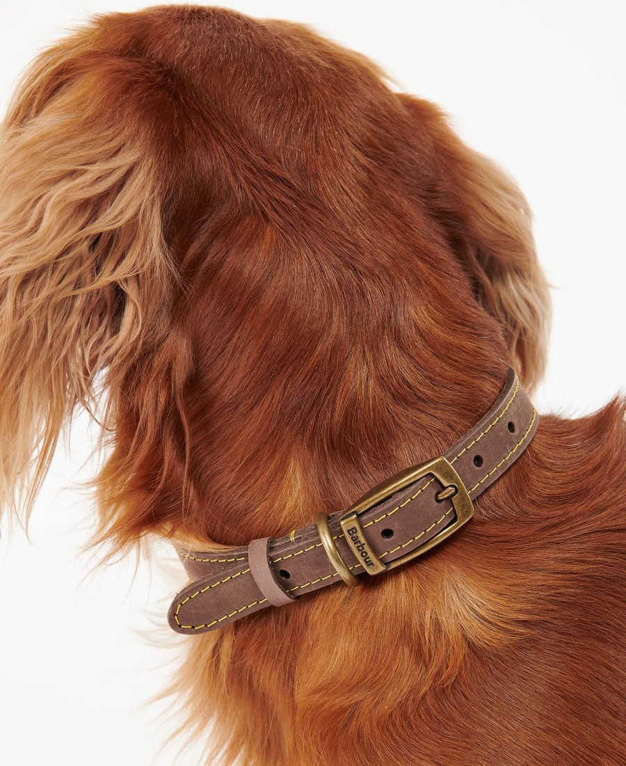 coleira de couro para cães