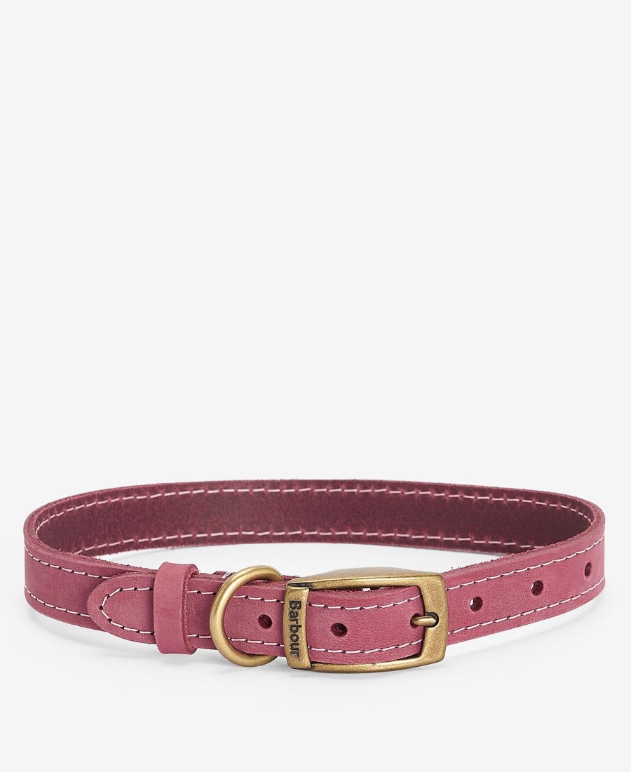 coleira de couro para cães