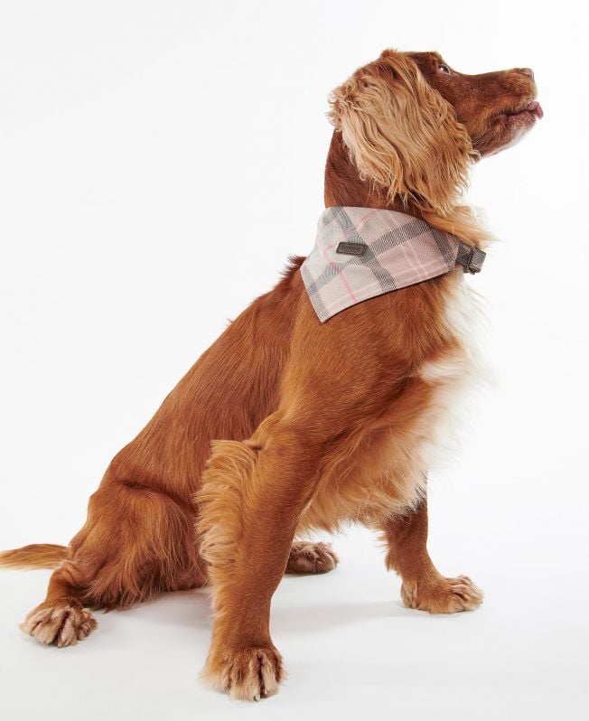 bandana xadrez