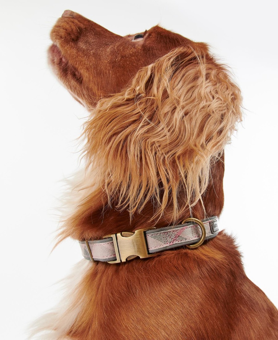 coleira refletora xadrez para cães