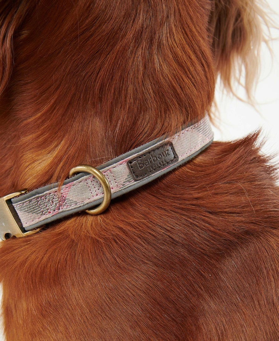 coleira refletora xadrez para cães