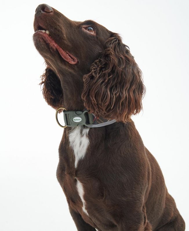 coleira refletora confortável para cães em tartan