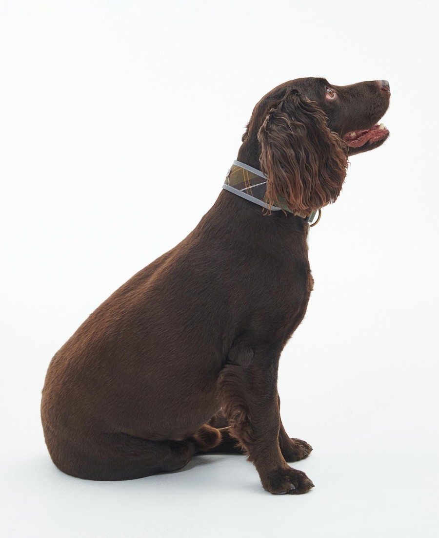 coleira refletora confortável para cães em tartan