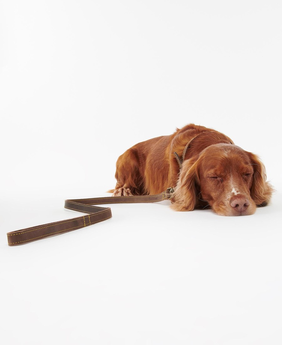guia de couro para cães
