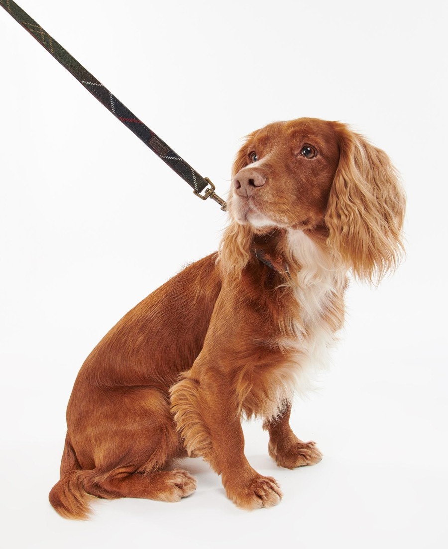 guia xadrez para cães